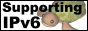 ipv6 support button
